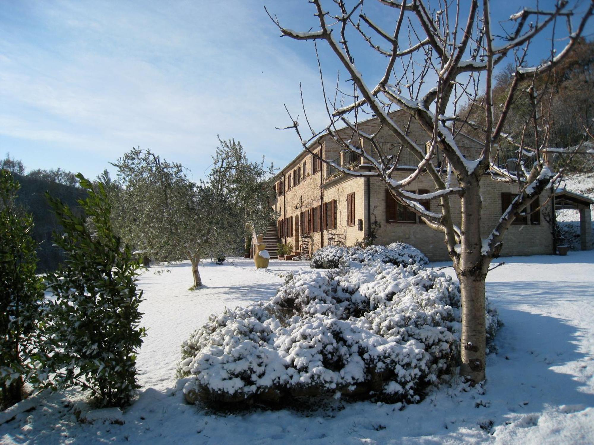 Casa Delle Sorgenti Lägenhet Montefiore dellʼAso Exteriör bild